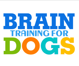 Brain training for dogs