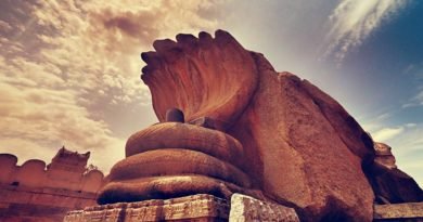 The Shiva Linga statue in veerabadhra temple, Lepakshi, Anantapur, Andhrapradesh, India